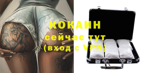 амф Гусиноозёрск
