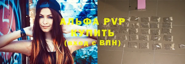гидра Гусев