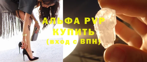 амф Гусиноозёрск