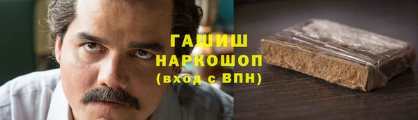 гидра Гусев