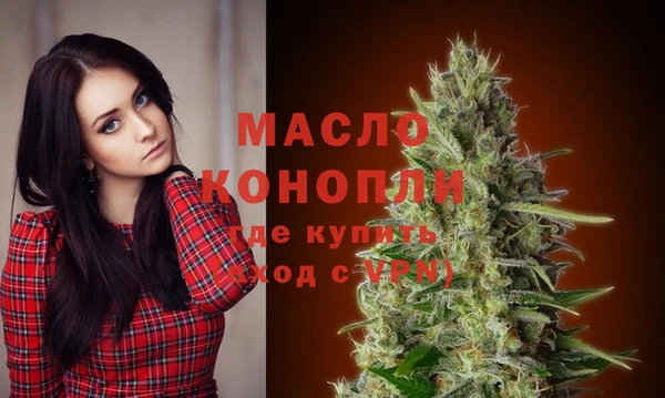 амф Гусиноозёрск