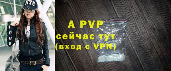 гидра Гусев