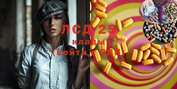 гидра Гусев