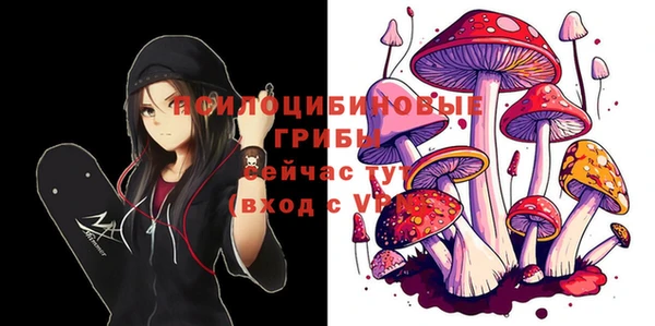 гидра Гусев