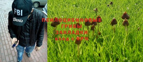 гидра Гусев