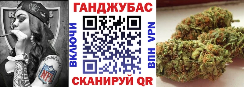 Канабис конопля Новая Ладога